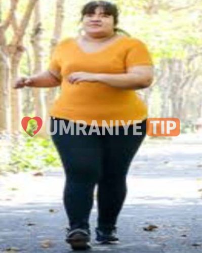 Gül fotoğrafı